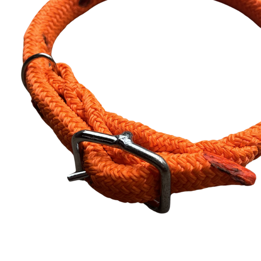 Bally Tack Rope Dog Collar-Orange