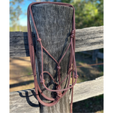 Brown_horse_halter_and_lead