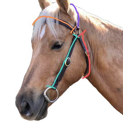 Bally Tack Leather Nora Bridle