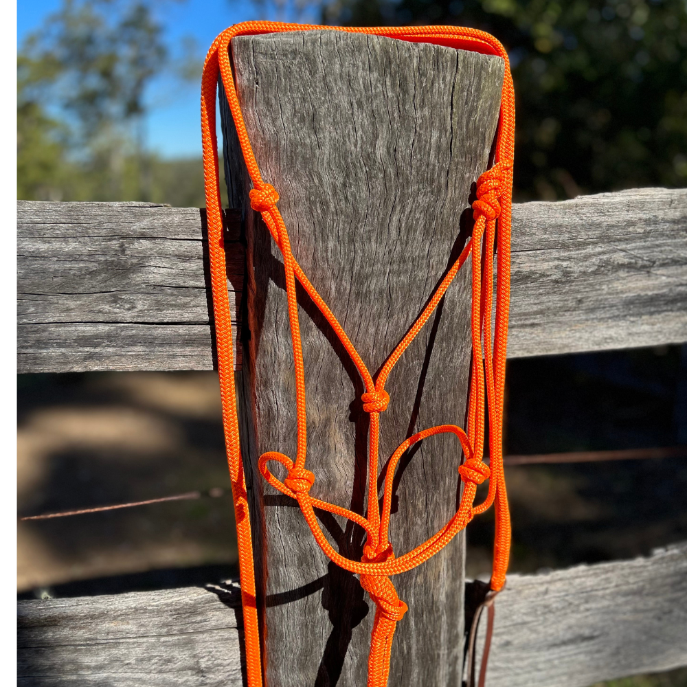 Rope_Horse_halter_lead_set_Orange_on_yards