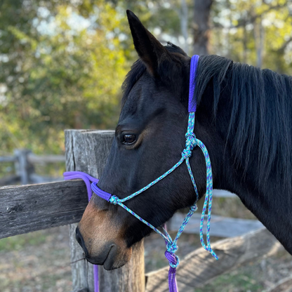 Bally Tack Rope Halter/Lead Combo #1