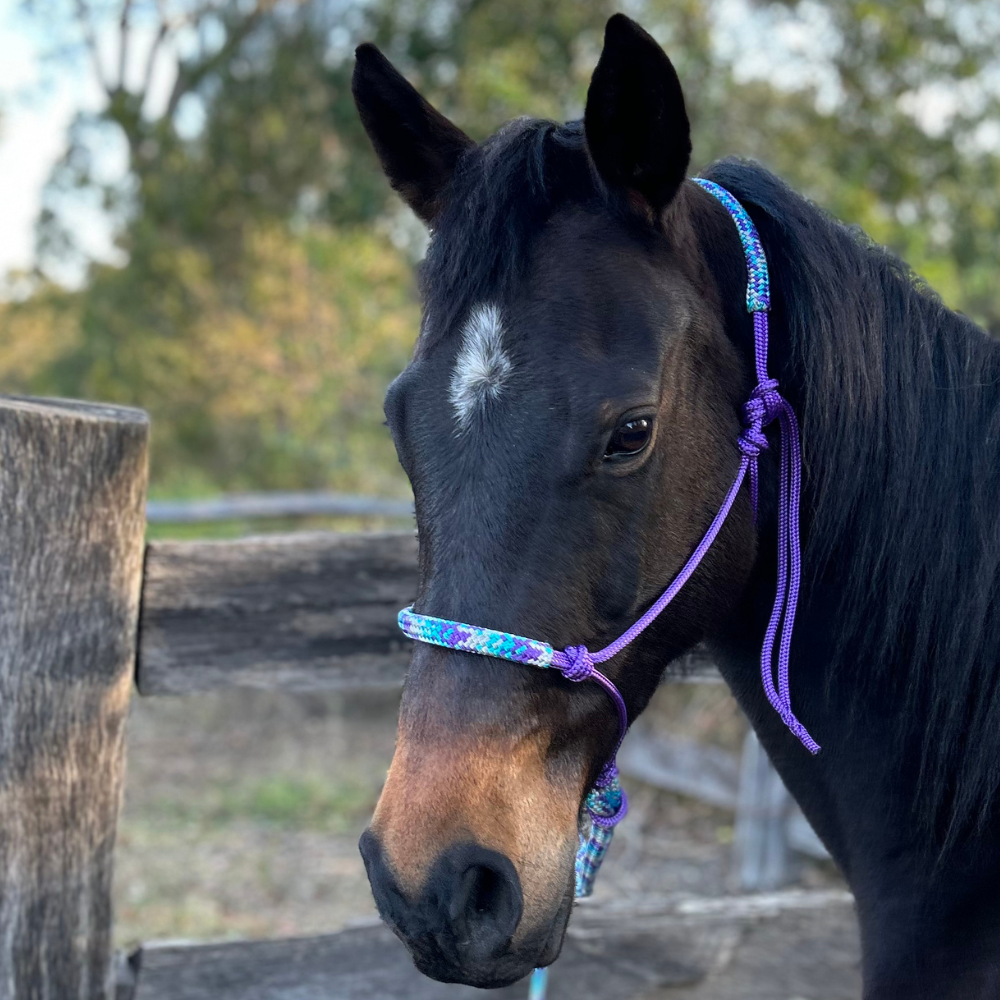 Bally Tack Rope Halter/Lead Combo #2