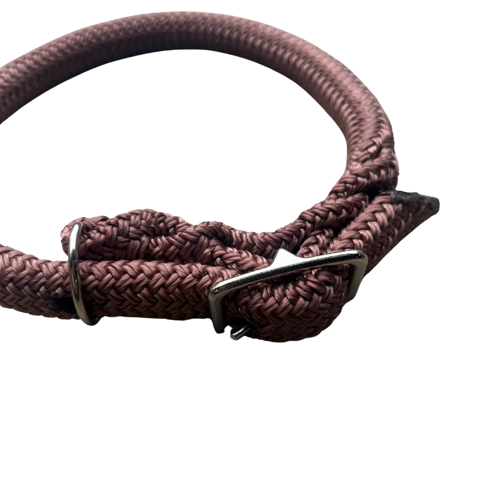 Bally Tack Rope Dog Collar-Brown