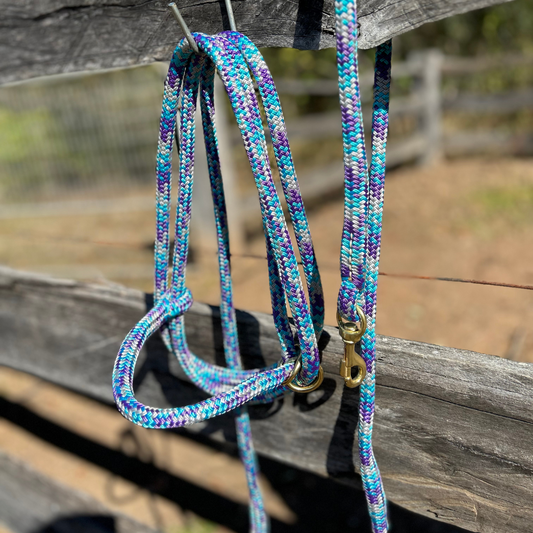 Bally Tack Rope Cattle 2 piece set-Prairie Jewel