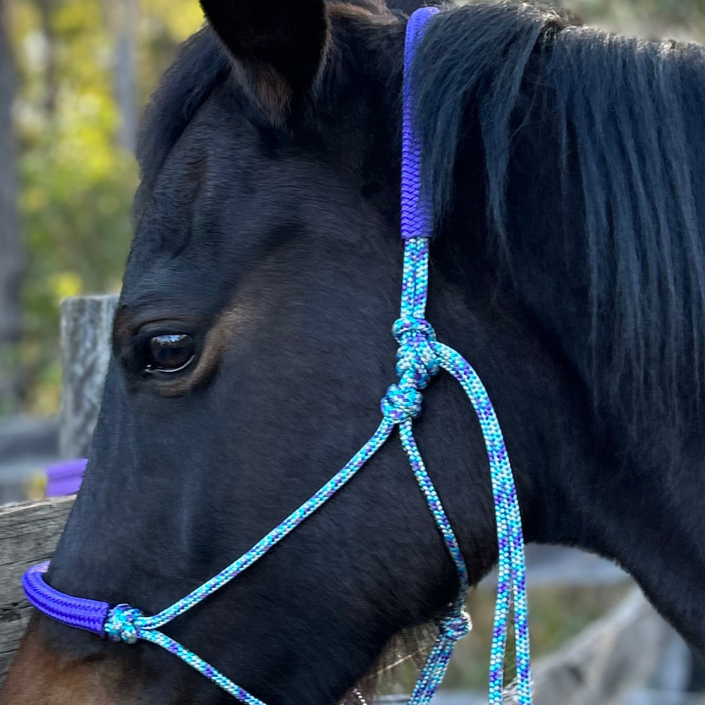 Bally Tack Rope Halter/Lead Combo #1