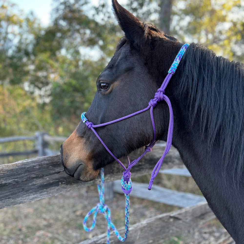 Bally Tack Rope Halter/Lead Combo #2