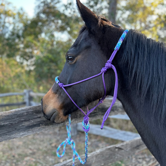 Bally Tack Rope Halter/Lead Combo #2