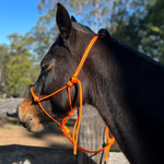 Rope_Horse_halter_lead_set_Orange