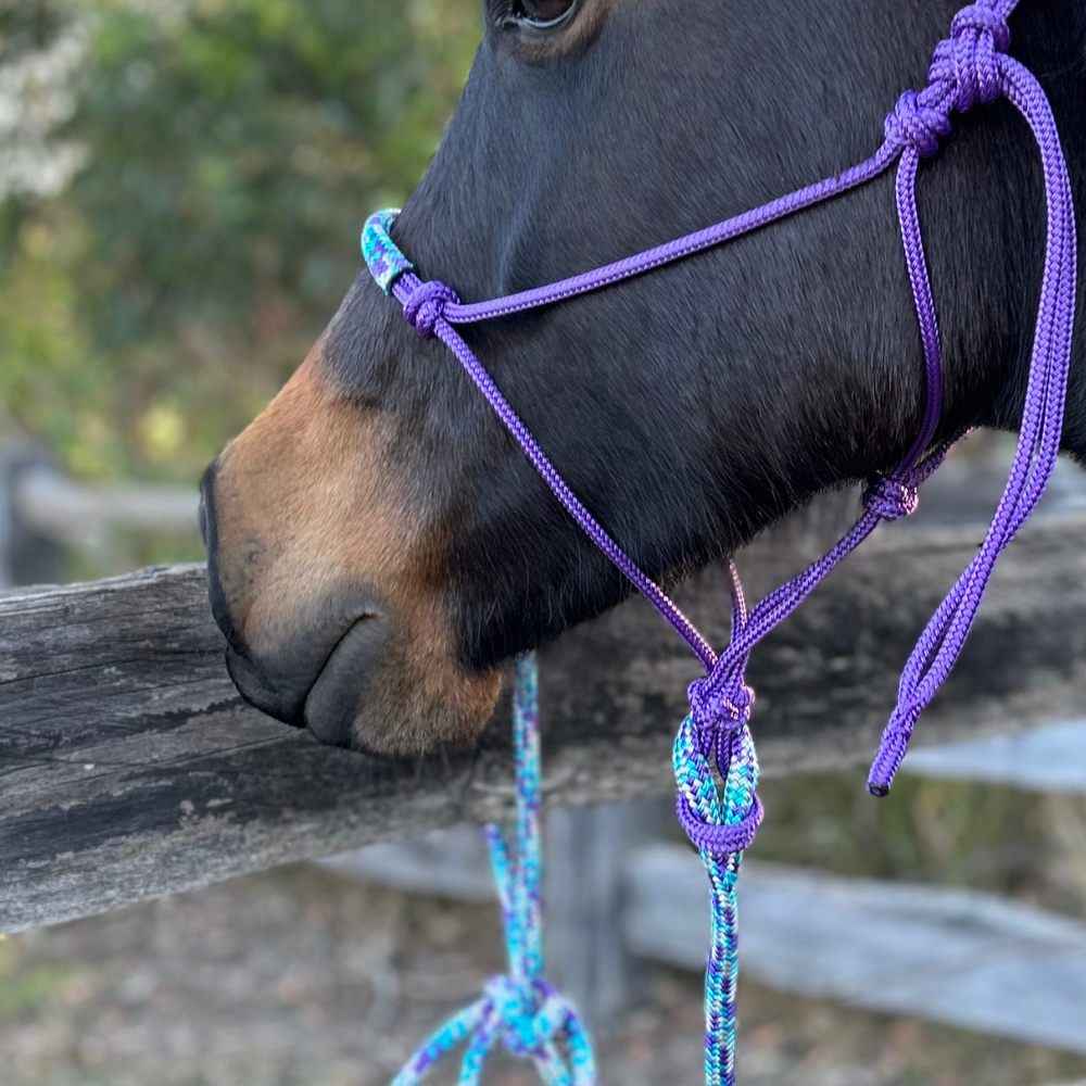 Bally Tack Rope Halter/Lead Combo #2