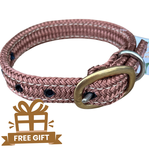 Free Dog Collar