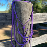 Purple_rope_halter_and_lead_on_fence