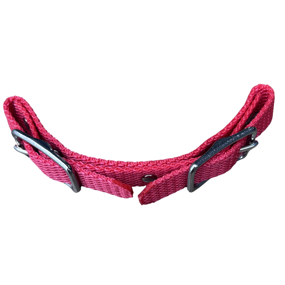 Bally Tack Web Chin Strap-Red