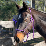 Purple_rope_halter_and_lead_on_horse
