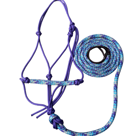 Bally Tack Combo-Prairie Jewel