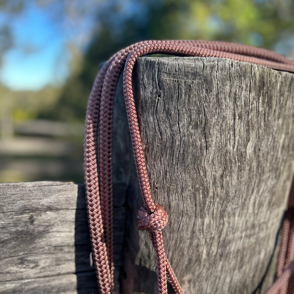 Brown_rope_halter_