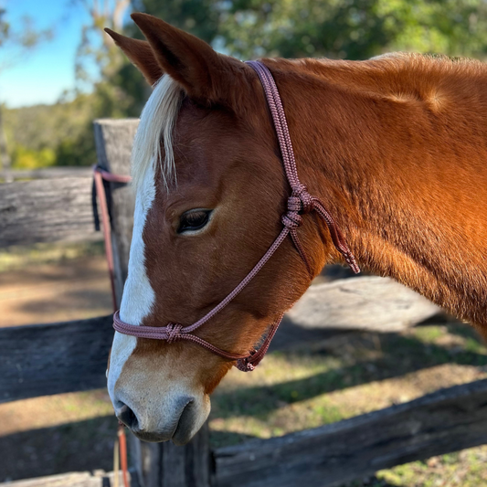 Rope_Halter_lead_brown_8mm