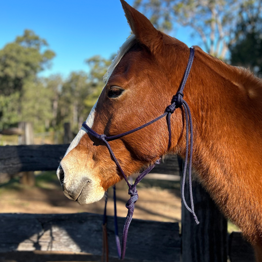 Horse_halter_lead_navy