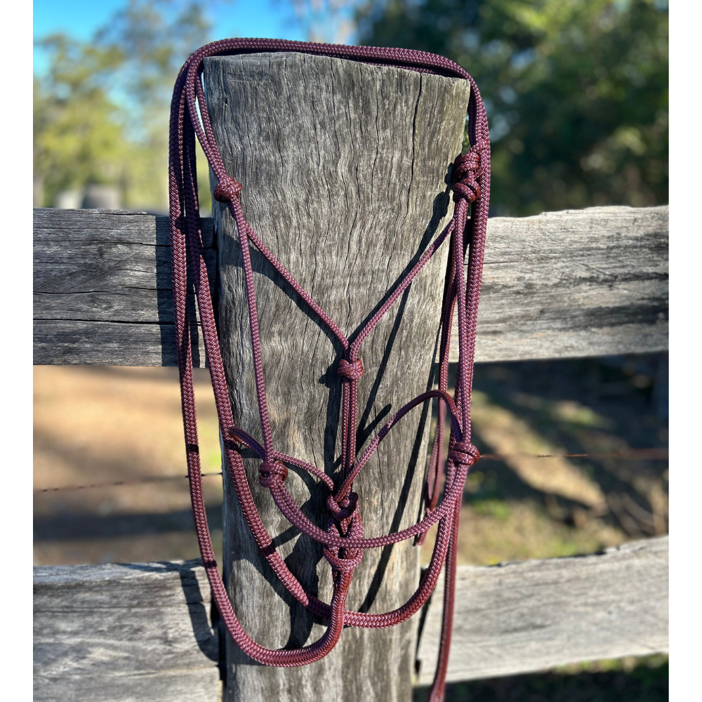 Bally Tack Rope Halter/Lead Combo- Wine