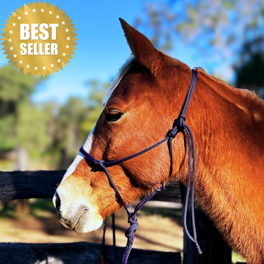 Bally Tack Rope Halter/Lead Combo- Navy