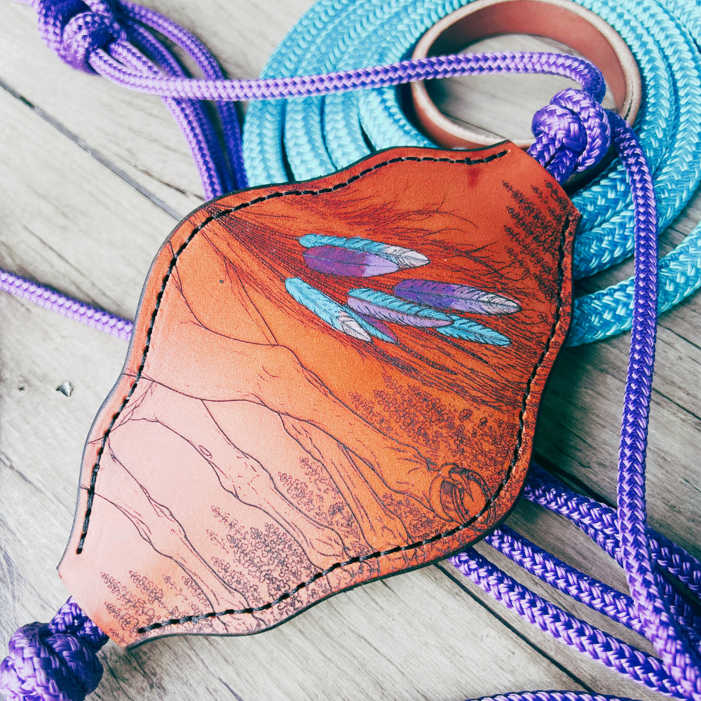 Bally Tack Rope Halter/Lead Combo-Bronc-Prairie Jewel