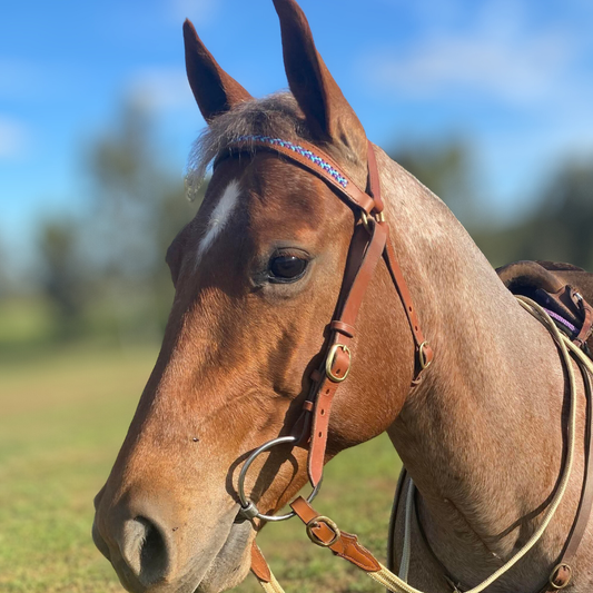 Bally Tack Leather Bridle- Fiona