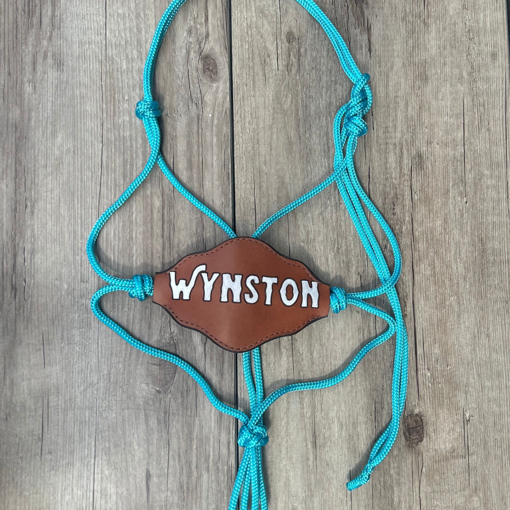 Bally Tack Rope Bronc Halter – Double C Saddlery Australia