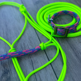 New ! Bally Tack EquiPaw Duo-Lime Lasso