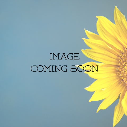 New ! Bally Tack Fender Hobble Straps - Sunflower