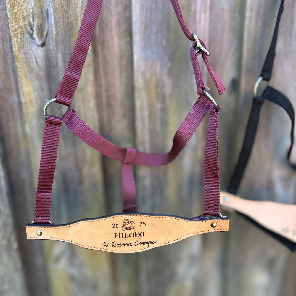 Bally Tack Web Trophy Halter