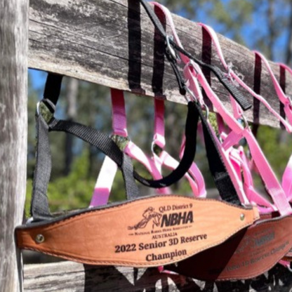 Bally Tack Web Trophy Halter