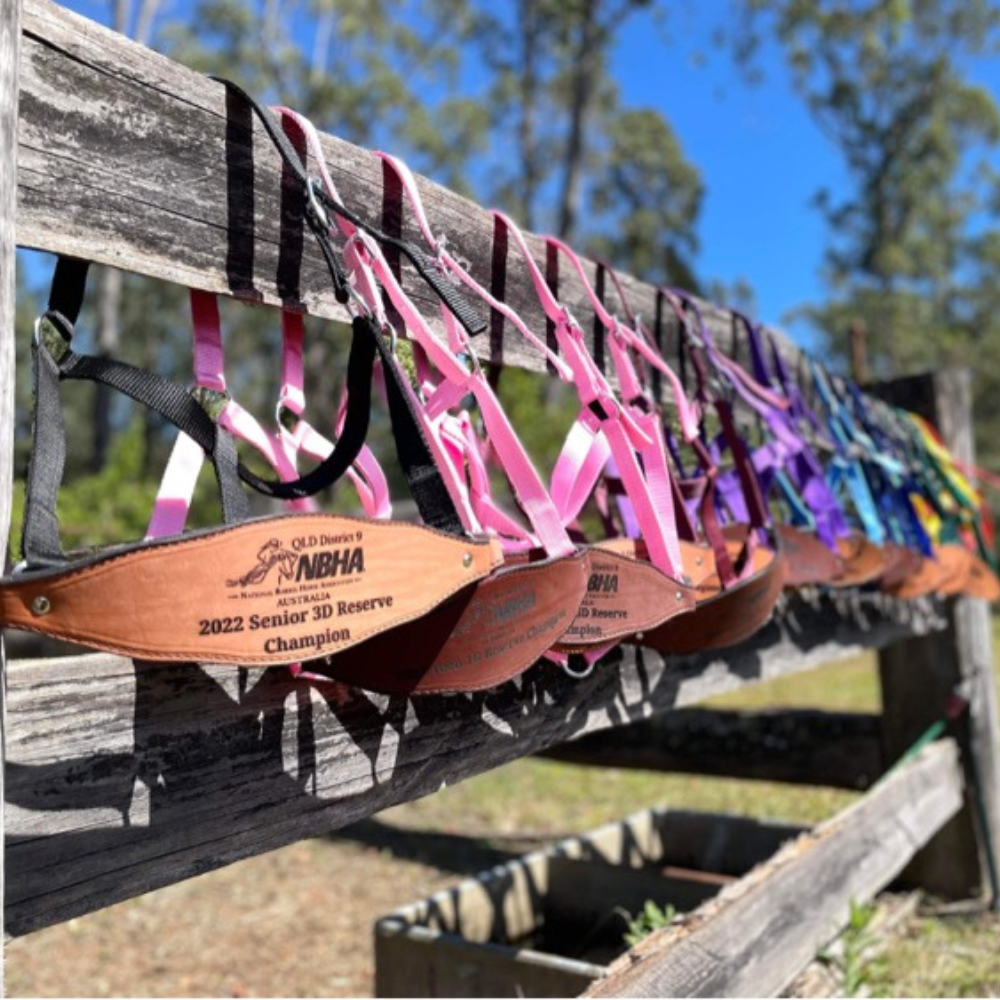 Bally Tack Web Trophy Halter