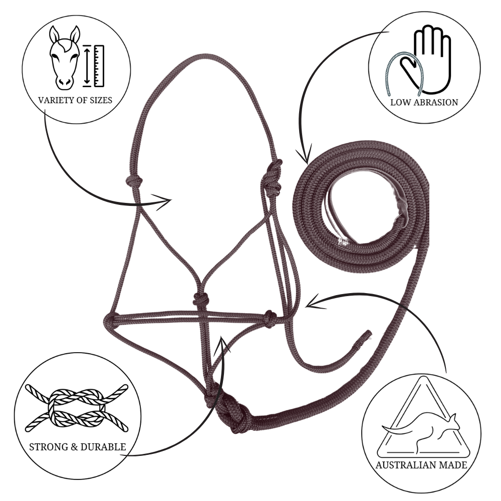 New ! Bally Tack Rope Halter/Lead Combo- Sunflower