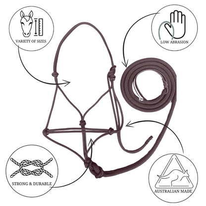 New ! Bally Tack Rope Halter/Lead Combo- Sunflower