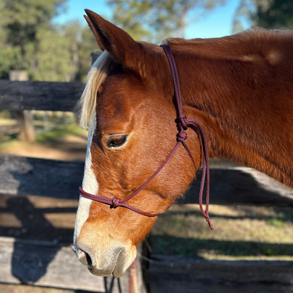 Bally Tack Rope Halter/Lead Combo- Wine
