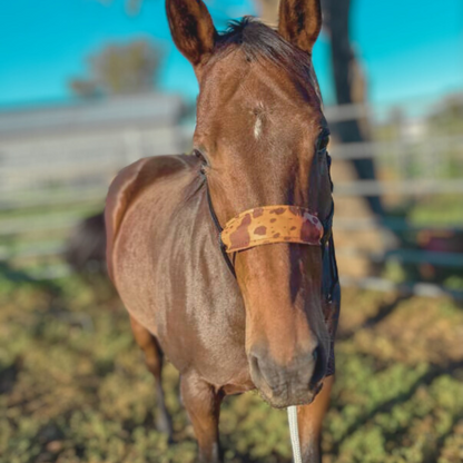Bally Tack Gift Box-Cow Hide