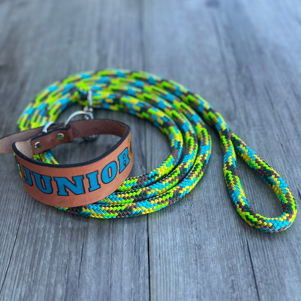 New ! Personalised Leather Dog Collar & Lead -Sunflower