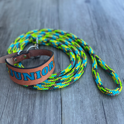 New ! Personalised Leather Dog Collar & Lead -Sunflower