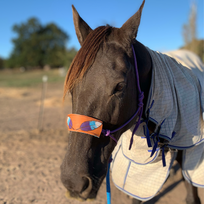 Bally Tack Gift Box-Feather