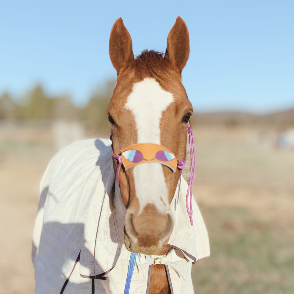 Bally Tack Gift Box-Feather