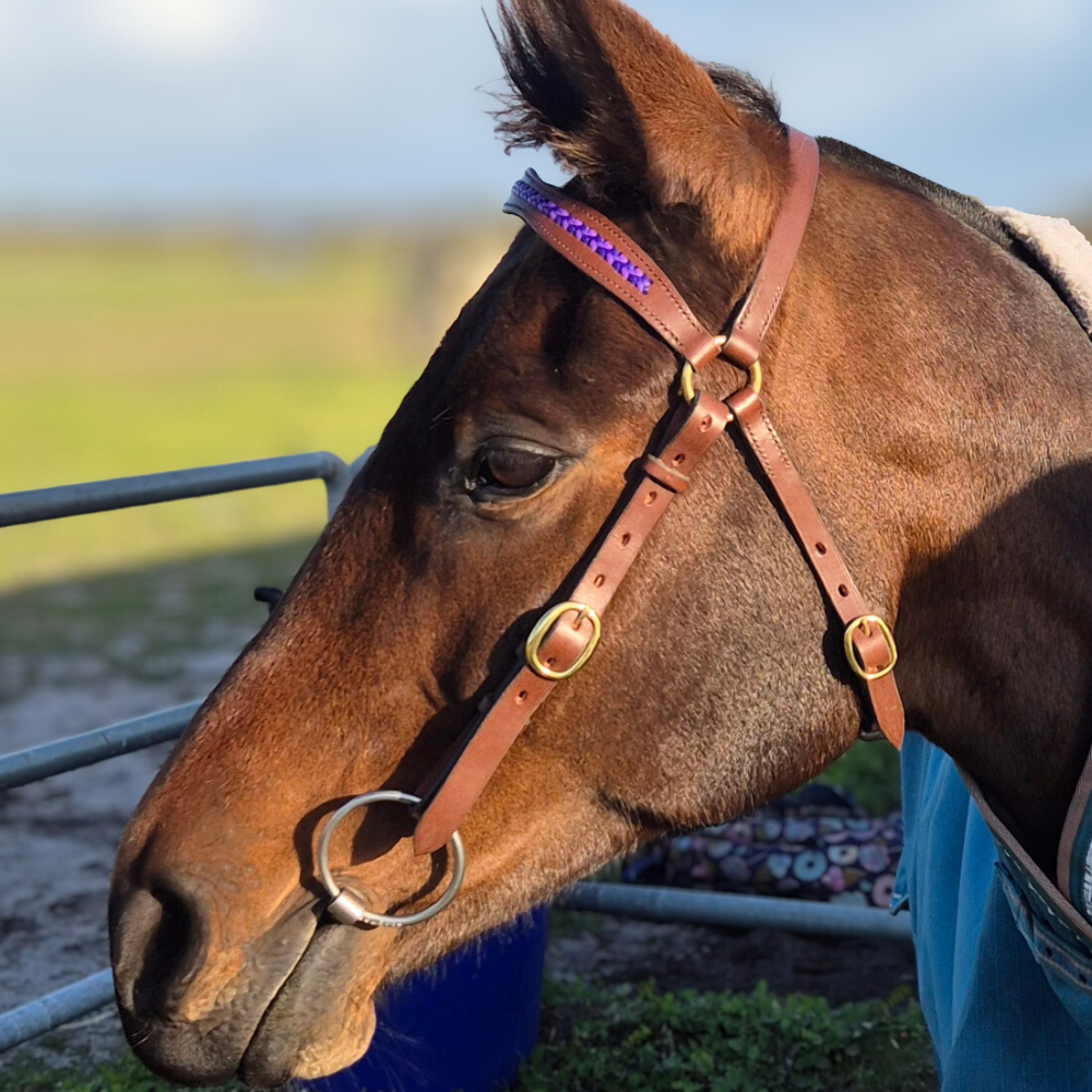 Bally Tack Leather Bridle- Fiona