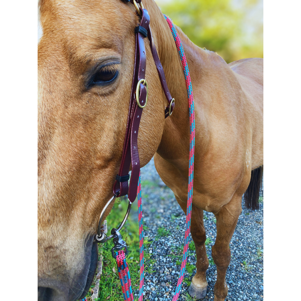 Bally Tack Rope One Reins with Clips-Cowgirl Candy-PREORDER