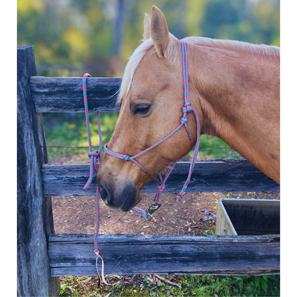 Bally Tack Rope Halter/Lead Combo-Cowgirl Candy-PREORDER