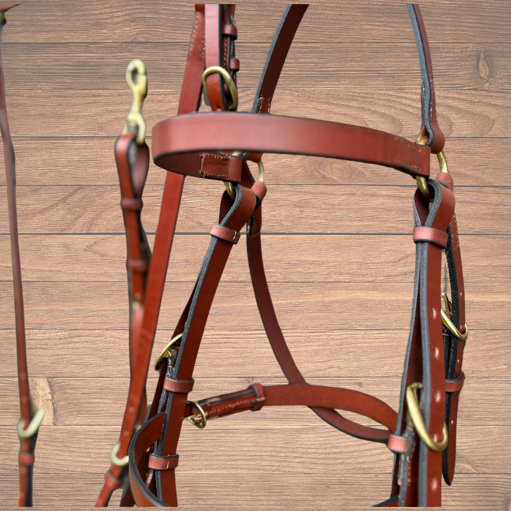 Bally Tack Leather Show Set- Quinn