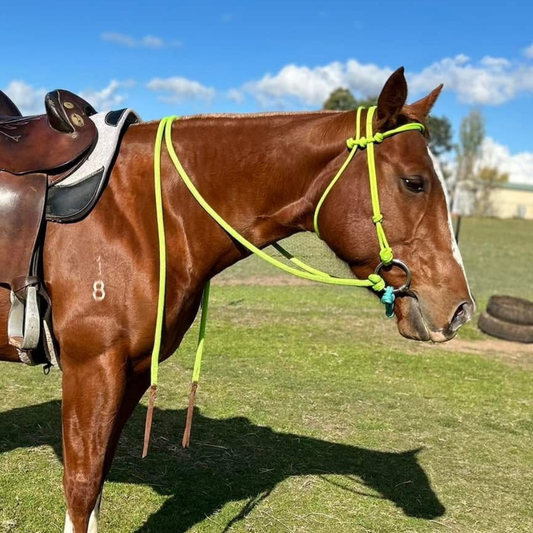 Bally Tack Rope Bridle - Lime