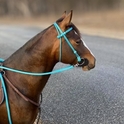 Bally Tack Rope Bridle - Turquoise
