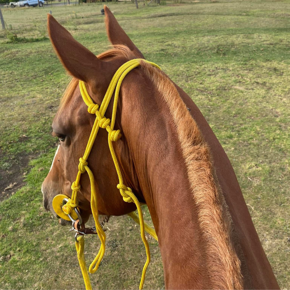 Bally Tack Rope Bridle - Yellow
