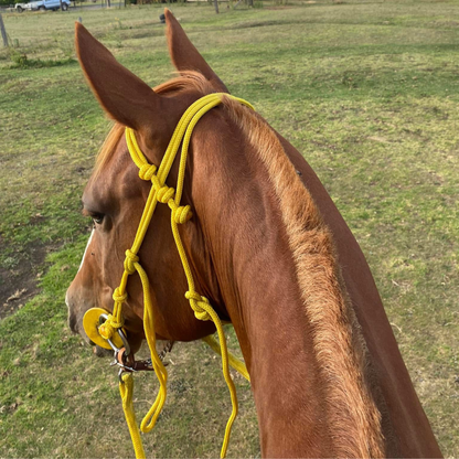 Bally Tack Rope Bridle - Yellow