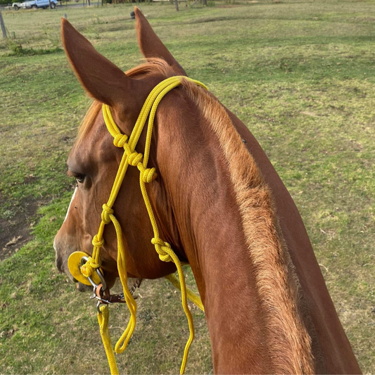 Bally Tack Rope Bridle - Yellow