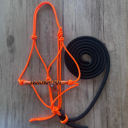 Bally Tack Combo-Copper Colt