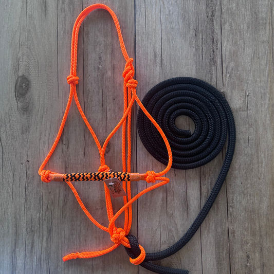 Bally Tack Combo-Copper Colt